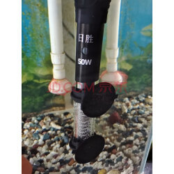 加熱棒海水哪款好？實拍評測助你選購優質魚缸加熱棒