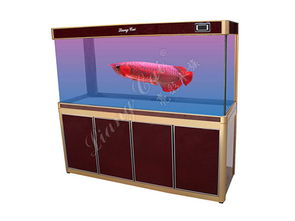 1米小彎底濾魚缸 打造理想水族環(huán)境的必備寵物配件