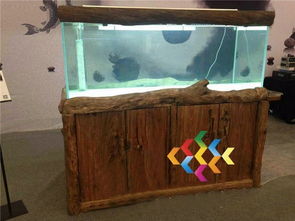 生態(tài)水族箱之美 七彩魚缸與配件全解析
