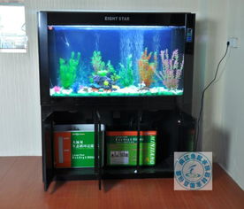 閩江水族箱大型生態(tài)魚(yú)缸玻璃水族箱龍魚(yú)缸底過(guò)濾閩江八星1.5米