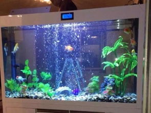 成都定制魚(yú)缸與海鮮池廠家直銷 一站式供應(yīng)加工與配件服務(wù)
